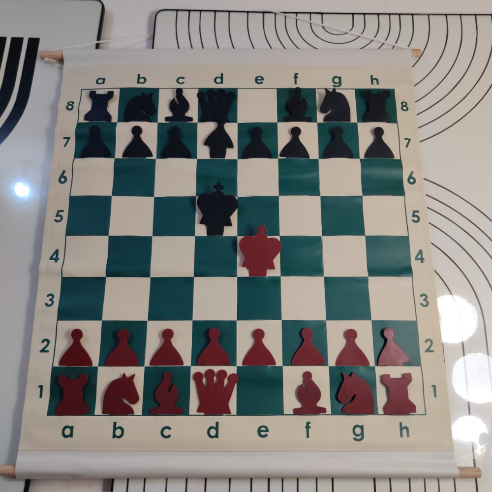 28" Slotted-Style Vinyl Demonstration (teaching) Board Set